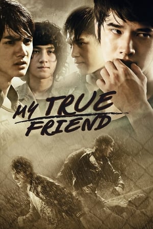 Friends Never Die (2012) Hindi Dubbed [1.1GB] - Movierulz