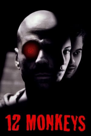 Twelve Monkeys (1995) Hindi Dual Audio Movie - 880MB - Movierulz